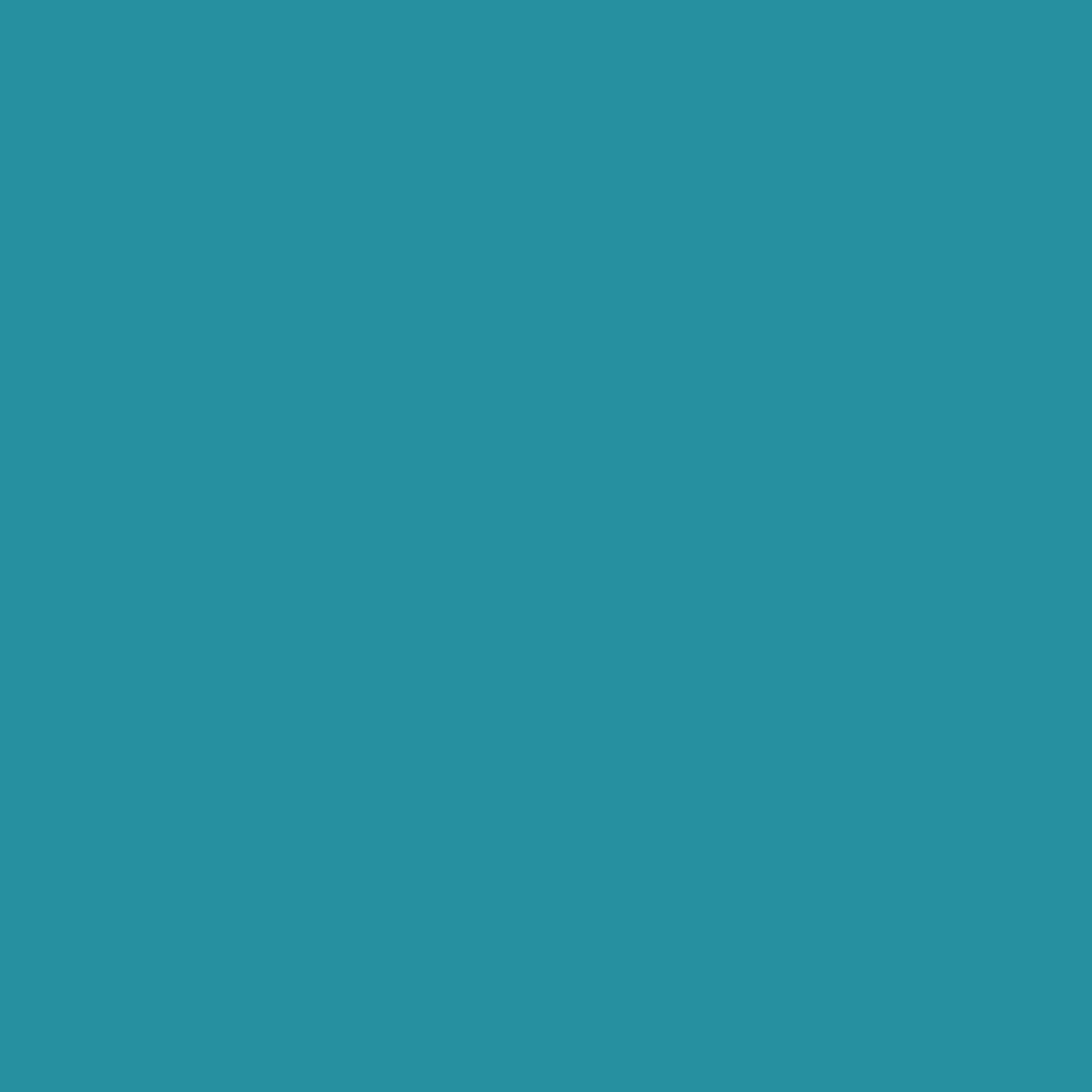 Краска Little Greene цвет NCS  S 3040-B20G Absolute Matt 0.25 л